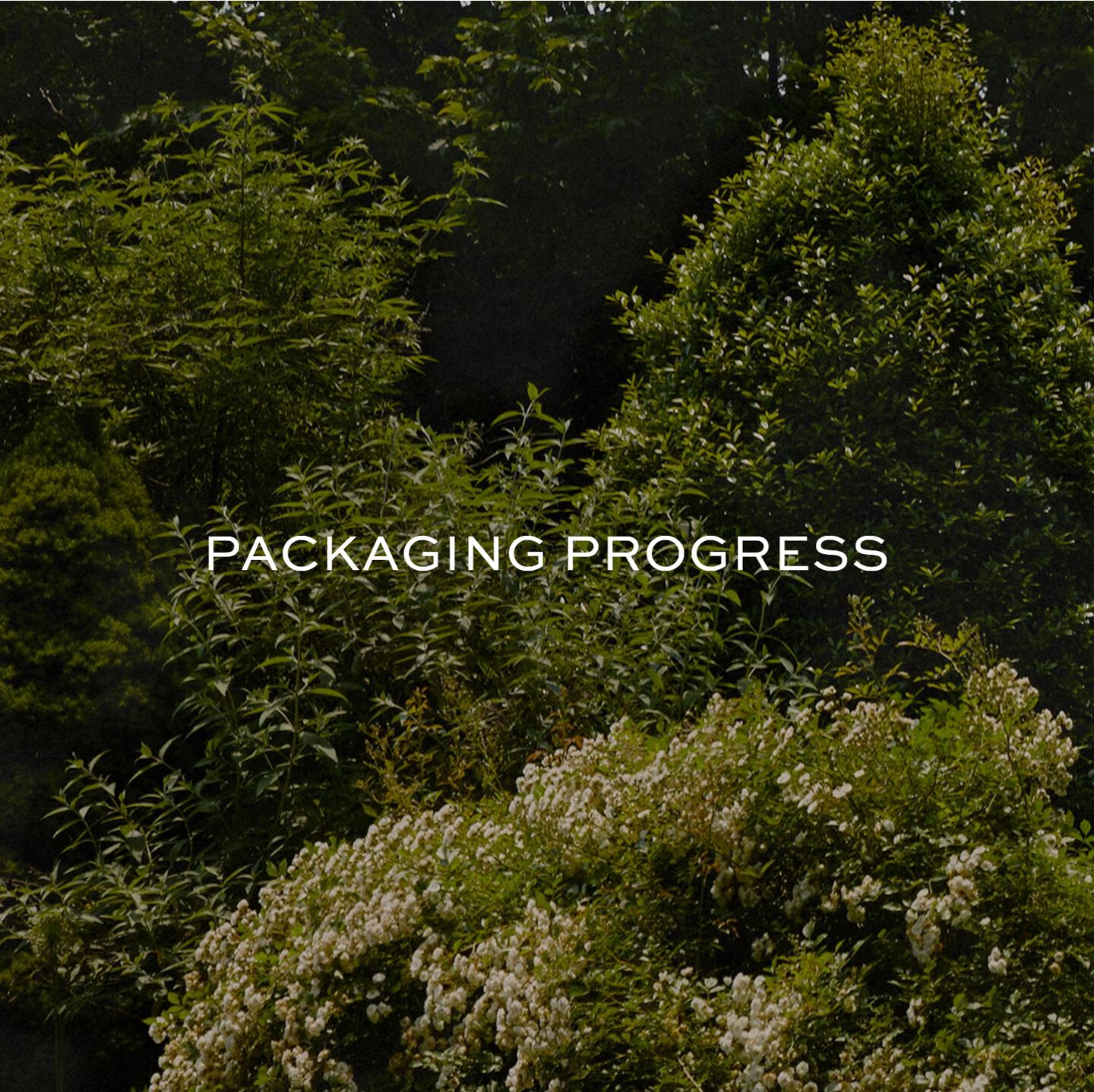 tory burch packaging progress