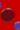 Tory Red