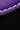 Dark Brown/ Deep Purple / White