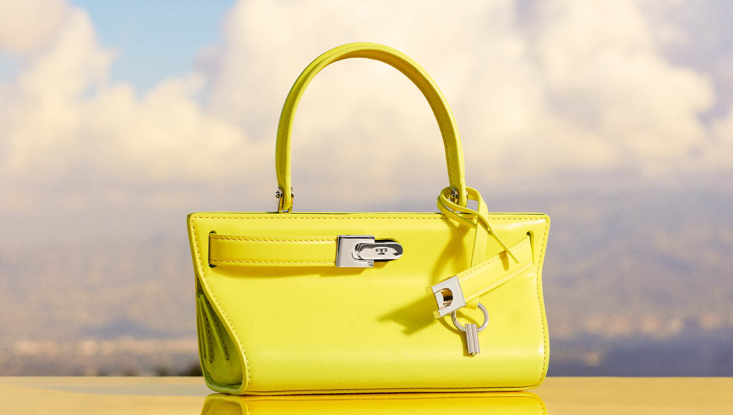 Lee Radziwill Cat Eye Bag